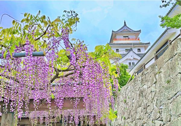 ÁÔÎï¤ÊÇò°¡¤ÎÅ·¼é³Õ¤ËÆ£¤Î»ç¤¬°ìÁرǤ¨¤ë¡ÚÅâÄžë¡ÊÉñÄá¸ø±à¡Ë¤ÎÆ£¡Û¤Ïºù¤Ë³¤¯½Õ¤ÎÉ÷ʪ»í¤È¤·¤Æ¸©Æâ³°¤ËÍ̾¤Ç¤¹¢ö¡Ê¢¨¥¤¥á¡¼¥¸¡Ë