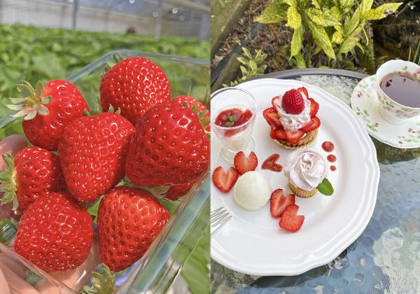 �����������1�ѥå����ڻ��դǳڤ�������ܤ������५�ե��ǥ������Υ������Ĥ�����줿�ǥ����ȥץ졼�ȤǸ��Υƥ�������������ʢ��ʢ����᡼�� / ��ȯ���ڤӻ���������ˤ����ǥ����Ȥ����Ƥ��ѹ��ˤʤ��礬����ޤ���