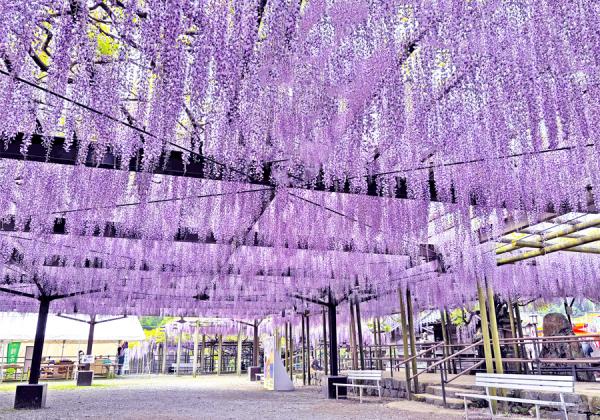 ��ʡ�����������ա۹��ڤ���ƣ�ȥ���������1�ѥå�����