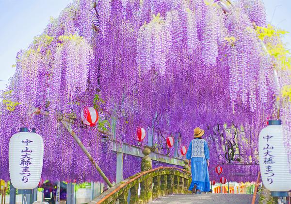 ��ʡ�����������ա��滳����ƣ�ȵ�α�ƻԤĤĤ��α�ȥ���������1�ѥå����ڻ��դȸ��Υǥ����ȥƥ���������