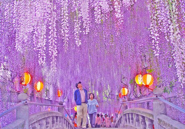 ��ʡ�����������ա��滳����ƣ�ȵ�α�ƻԤĤĤ��α�ȥ���������1�ѥå����ڻ��դȡ�