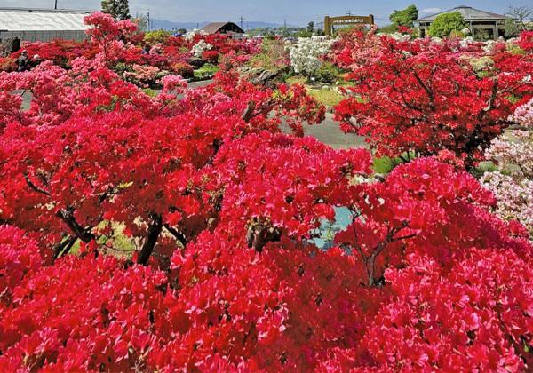 ��ʡ�����������ա��滳����ƣ�ȵ�α�ƻԤĤĤ��α�ȥ���������1�ѥå����ڻ��դȡ�