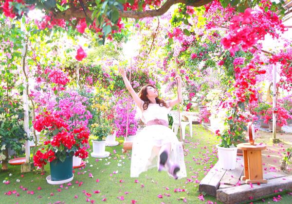 ��3��Х���ι��2�ĤΤ��ڻ��բ� ������ǥ󥦥���������5�ĤΤ�˫���ߥ��ƥ꡼��