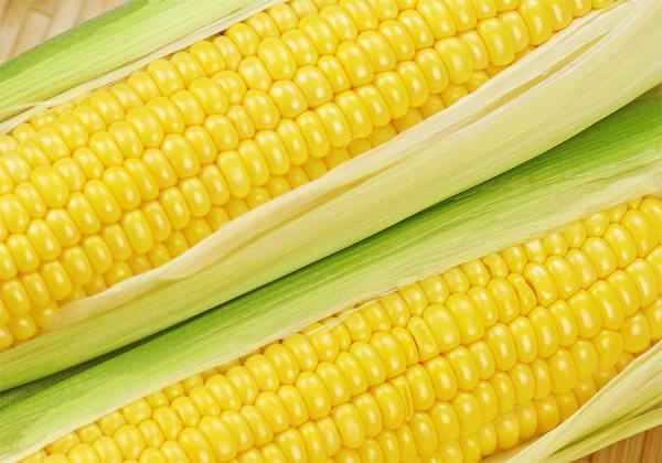 ¥·¥ã¥¥·¥ã¥¤È¤·¤¿¿©´¶¤È˧½æ¤Ê´Å¤ß¤Ç¿Íµ¤¤Î¥¹¥¤¡¼¥È¥³¡¼¥ó¡Ú¥´¡¼¥ë¥É¥é¥Ã¥·¥å¡Û2Ëܤ⤪»ý¤Áµ¢¤ê¢ö¡Ê¢¨¥¤¥á¡¼¥¸¡Ë