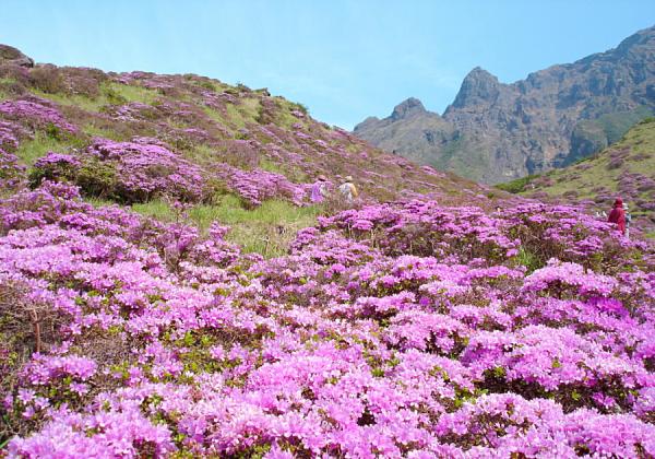 ��ͤ�줦��������ʷʿ�������������餽��̾���դ�����춮(���󤹤����礦)�����䤫�ʥԥ󥯤��������ߥ�ޥ��ꥷ�ޤ�Ѿޢ��ʢ����᡼����