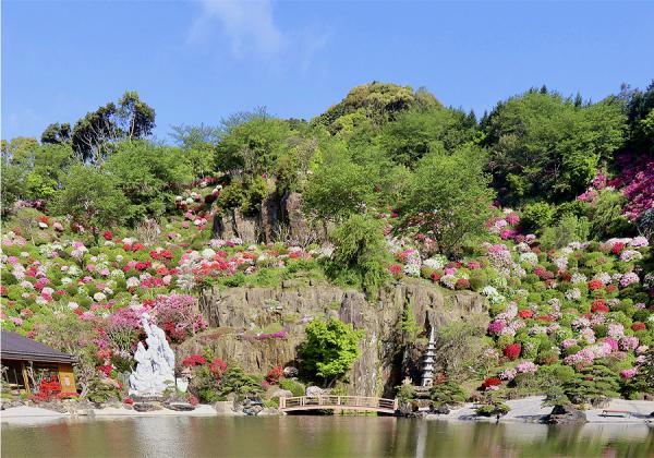 Ìó5ËüËܤβ´Ã°¤ò¤Ï¤¸¤áçéÌô¡¢¤Ä¤Ä¤¸Åù¤Î²Ö¡¹¤¬ºé¤Íð¤ì¤ë¡Úº´À¤Êݲֱà¡Û¤Ï°µ´¬¢ö¡Ê¢¨¥¤¥á¡¼¥¸¡Ë