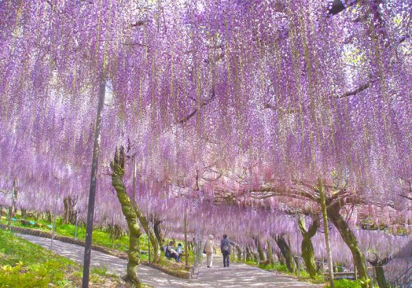 ������������νդϤޤ��ƣ���α����ߤ������褦��ƣ�β�˼����첼����翧��������Ͷ���ޤ�♬�ʢ����᡼����