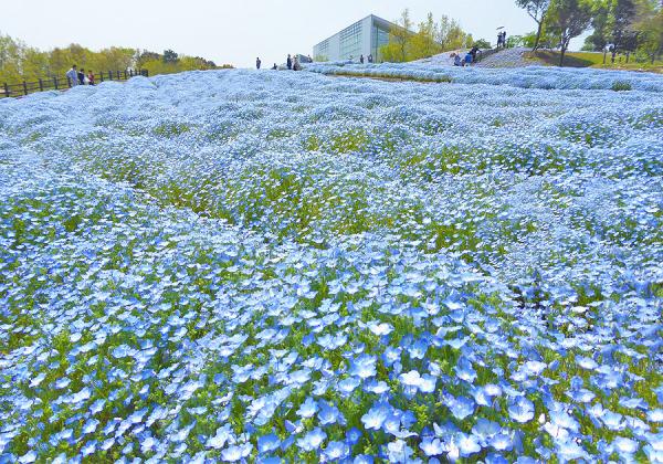 ����ʬ����ʸ��������Ꭲ���ѡ������νդ���70���ܤΥͥ�ե��餬������Ĥ������˺̤�ޤ�♬�ʢ����᡼����