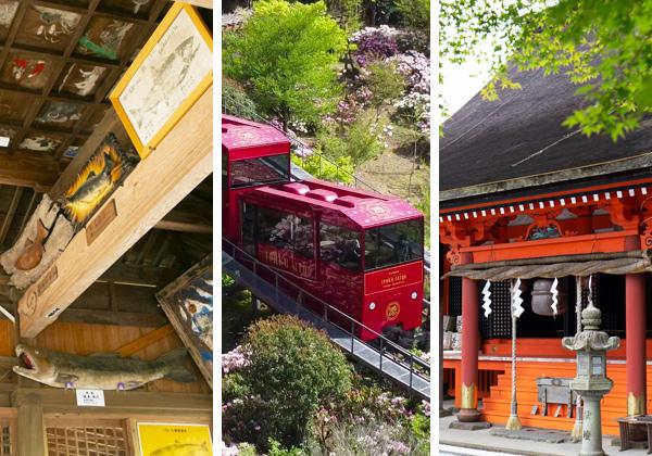 ���������Ҥ���ʤο��Ҥء��������ץ�����֤⡪