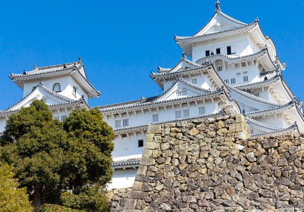 ��˷���ɱϩ��ȹ��ű�β��� ̾ʪ�η�Ҥ�ͭ�Ϥ���˷Ƥ�ͥ���ʰ���