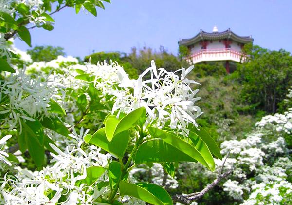 �ҥȥĥХ����βֺ餯�񶭤��硦����