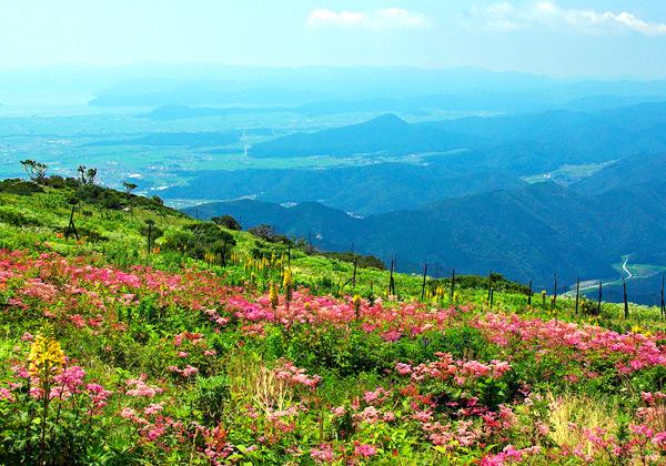 �˿ỳ ŷ���Τ���Ȫ�������å�����߲����ȶṾ���ü�˿줦��ͤβƵ٤�