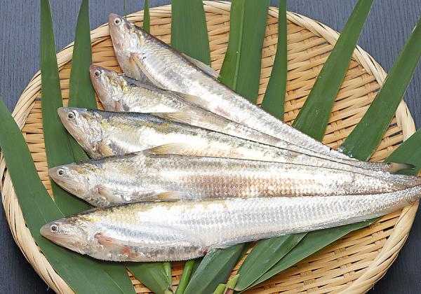 �ڤ��ĤȤϡ��۴������Ƶ��Ƚ񤭤ޤ������䰾��Ʊ���������Ԥ��褹���̤���ͷ���ǳ����ˤ�����ϿȤ������ƹ��ϹŤ�������������ȿȤϸ����������餫���ʤ�ȸ���졢ʢ�����ؤˤ����Ƥ��ä��ڤ�������ʪ�Τ褦�ʷ�����ħŪ�ʥ����������亮�ʤδ������Ǥ����ʢ����᡼����