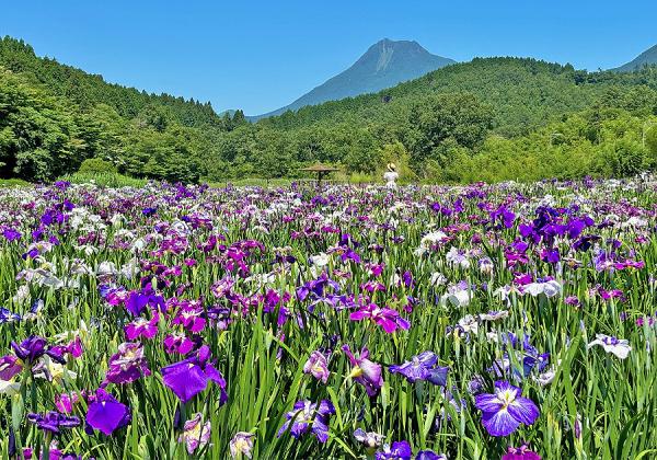 ���̶彣�϶�ȯ���Ȭ�̻�����������ȿ��ڽ��в֤��礦�֤����ܤ��ˤ�ޥۥƥ��򤱡�