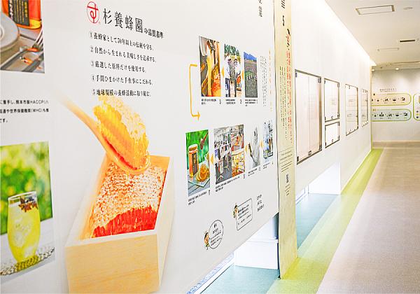 ¤É¤Á¤é¤âÎä˼¤¬¸ú¤¤¤¿²°Æâ»ÜÀߢö ÉÊ·¤¨ËÉ٤ʿ͵¤Ä¾Çä½êŽ¢Æî´Ø¤¤¤¤¤¤Â¼Ž£¤È¿ùÍÜ˪±àŽ¢¤Ï¤Á¤ß¤Ä¥ß¥å¡¼¥¸¥¢¥àŽ£¤âˬ¤Í¤Þ¤¹♬