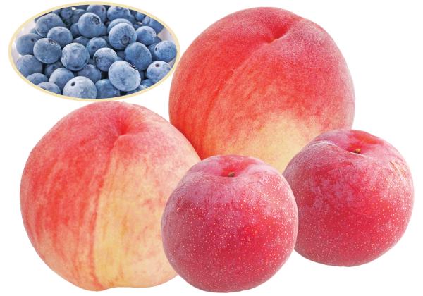 ���塼����������˧��ʴŤ��ǿ͵��ε��ۤ����Τ��ڻ��˲ä��ƽܤΥ֥롼�٥꡼�������⿩����������ʢ��ʢ����ڻ����᡼����