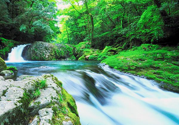 Èò½ëÃϤȤ·¤Æ¤â¿Íµ¤¤ÎµÆÃÓ·Ìë¤Ç»¶ºö¤ò¤ª³Ú¤·¤ß¡ª