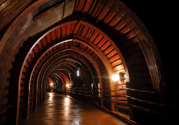 ���ĤƤκη������ꥢ����δ��Ǥ��������仳�פǤϡ��������̱Ƥ�Ĥ�����Ū�ʹ�ƻõ����ڤ���ޤ�������­��Ƨ�������С������ϲƤǤ⳰���˺���ۤɤΤҤ���Ȥ����������������ι�ƻ���٥ƥ�󥬥��ɤΰ���ȤȤ���⤱�С����ͤ������䤷����Ǯ����ˤ�©�᤬�ֶ������ޤ����ż���ä���ޤ���ϲ��µܤǡ������Υ�줿��Ū�����ΤҤȤȤ��򿴤椯�ޤǤ��ᤴ������������