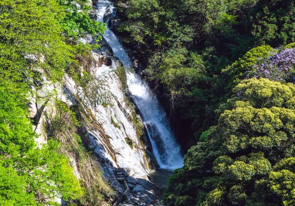 �⤵45m����10m�ι������ִѲ�����פ�Ѿޡ�