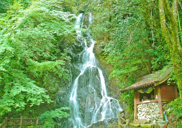 ή�������岻��ŷ���Υ���ǥ����դǤ�褦��ʹ�����������餽��̾���դ�����Ĵ�����쎣���ʢ����᡼����