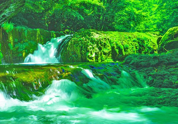 Ž¢ÆüËÜ̾¿åÉ´ÁªŽ£¤ÈŽ¢ÆüËÜ¿¹ÎÓÍá¤Î¿¹É´ÁªŽ£¤ËÁªÄꤵ¤ì¤Æ¤¤¤ëµÆÃÓ·Ìë¤ÇÅ·Á³¥¯¡¼¥é¡¼¤òÂδ¶♬¡Ê¢¨¥¤¥á¡¼¥¸¡Ë