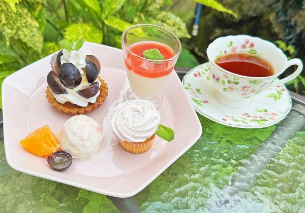 �ƤΥե롼�Ĥ�Ȥä��ǥ����ȥץ졼�Ȥ����� ���� ����Ǹ��Υƥ���������⤴�Ѱբ��ʢ����᡼�� / ��ȯ���ڤӻ���������ˤ����ǥ����Ȥ����Ƥ��ѹ��ˤʤ��礬����ޤ���