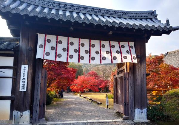 �����ʥ��ꥢ�˰��֤��봫�����ϡ��ļ���ƣ����ˤ椫�꤬�����������ŷ�Ĥβ����Ȥ�ʤä���ˤ������׻����Ǥ������ˤϹ����̾����ɹ����פ����䤫�ʹ��դ���ޤ�ޤ����Ƥθ��������ʤޤ�ޤ��ˤ��Ǥ���줿�Ÿ��ʻ���򤯤���ȡ�������ˤ�ǳ��Ω�Ĥ褦�ʿ��Ȥι��դ������ͤ򲹤����ޤ��Ƥ���ޤ����ʼ��⤭���������������ʿ������椬��ˬ���ͤο��򿼤�̥λ���ޤ����ʲ����󶡡���������