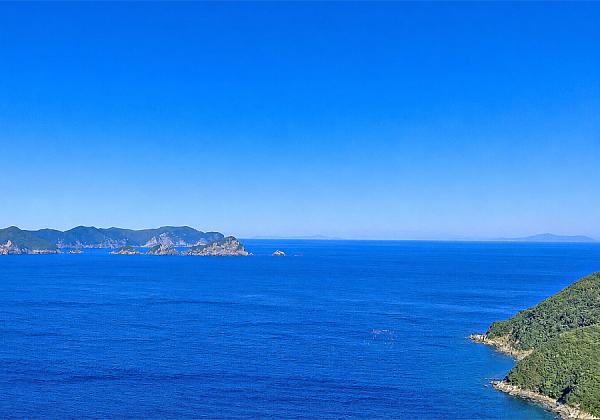 ���줿���ˤϤ���᤯���ˤ�������ΥѥΥ����ʤ���˾�Ǥ��뺴��ڶ��θ���Ÿ˾��ۡʢ����᡼����