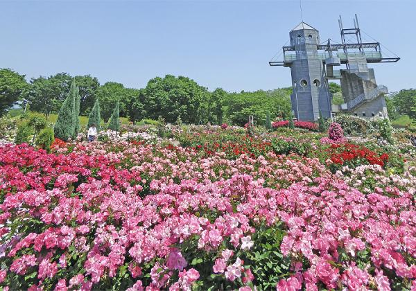 ι���Ʊ���� ���ޤ�������♬ ���դε��ӷ�ë�ȥ���ȥ꡼�ѡ����ν���