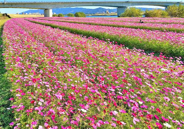 ���ξ夫�鸫�������Ƥ⡢�����⥹Ȫ���椫��ߤƤ�ξ���������ھ�������⥹��ۡʢ����᡼����