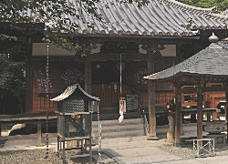 綽
